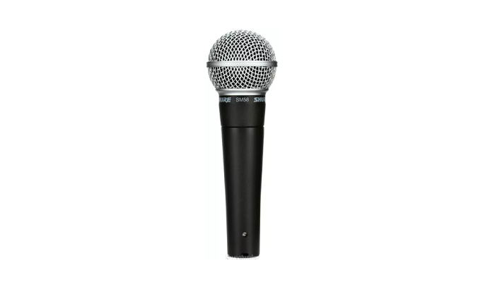 unidirectional microphone