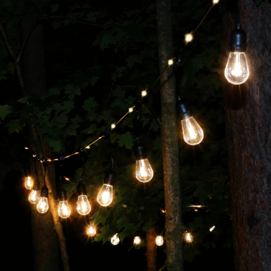 String lights with glowing bulbs hanging between trees at night, creating a warm and cozy outdoor ambiance.