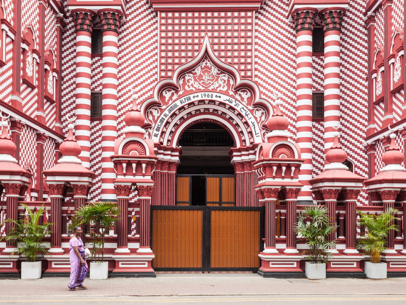 Colombo Rote Mosche