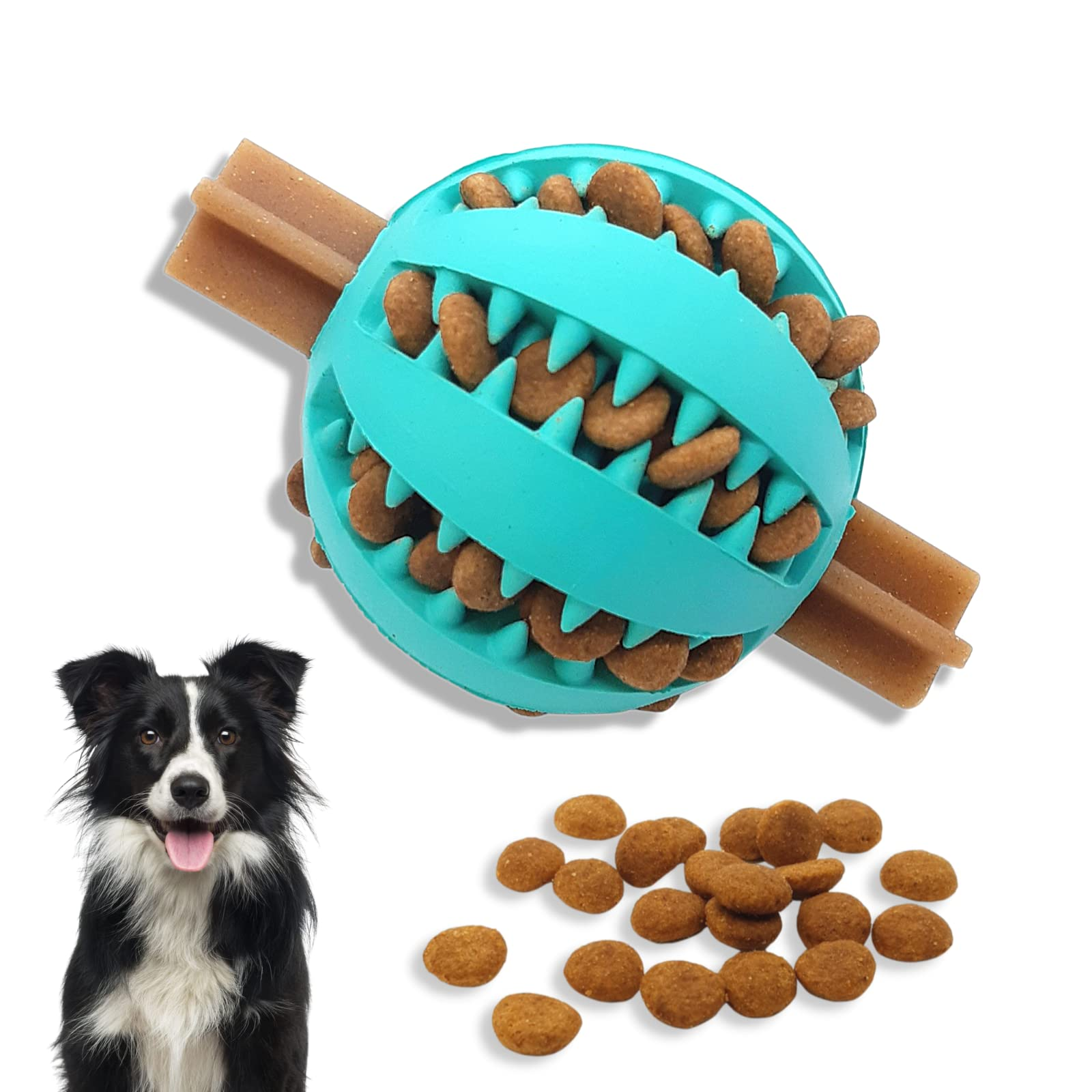 What are the top 10 Dog Products that a Dog Owner Should Have