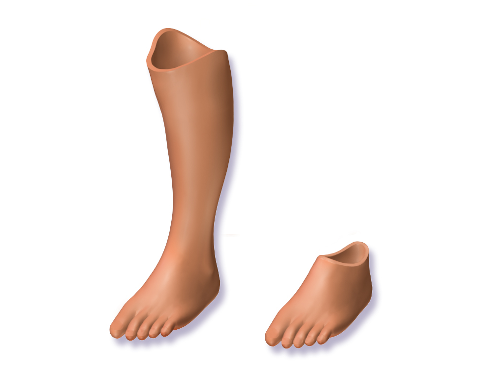Applications of Medical Grade Silicone - Prosthetics Leg and Foot