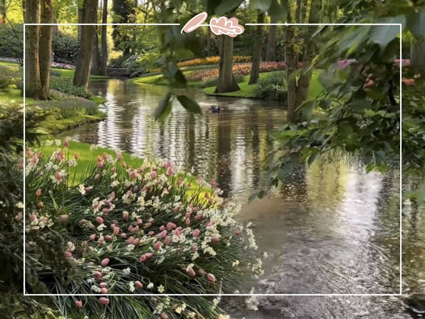 A serene garden scene with a river surrounded by lush greenery and pink and white flowers - Fabulous Flowers and Gifts