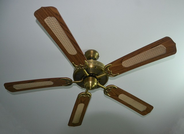 ceiling fan, fan, whirling