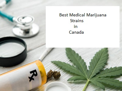 Best medical marijuana strains in Canada