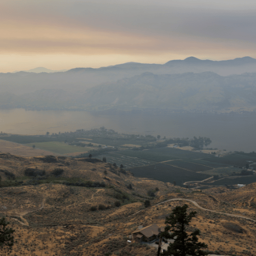Wildfire Smoke