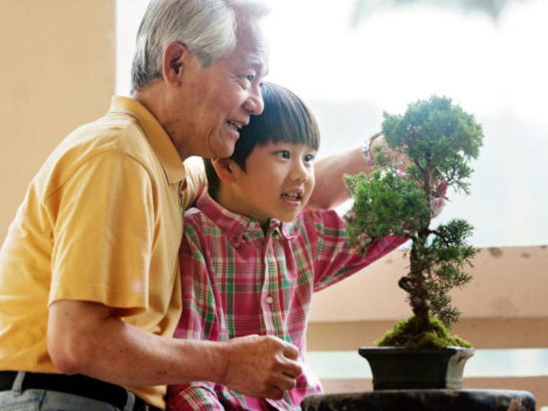 Dedication to Bonsai involves continuous learning and adjustments.