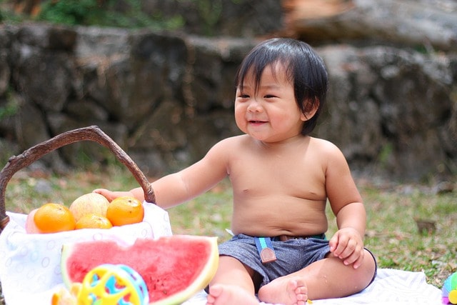 picnic, baby, eating, nature, cute, child, food, toddler, happy, little, kid, childhood, healthy, caucasian, infant, eat, boy, portrait, adorable, young, sweet, cheerful, happiness, funny, nutrition, breakfast, summer, sitting, grass, family, fruits