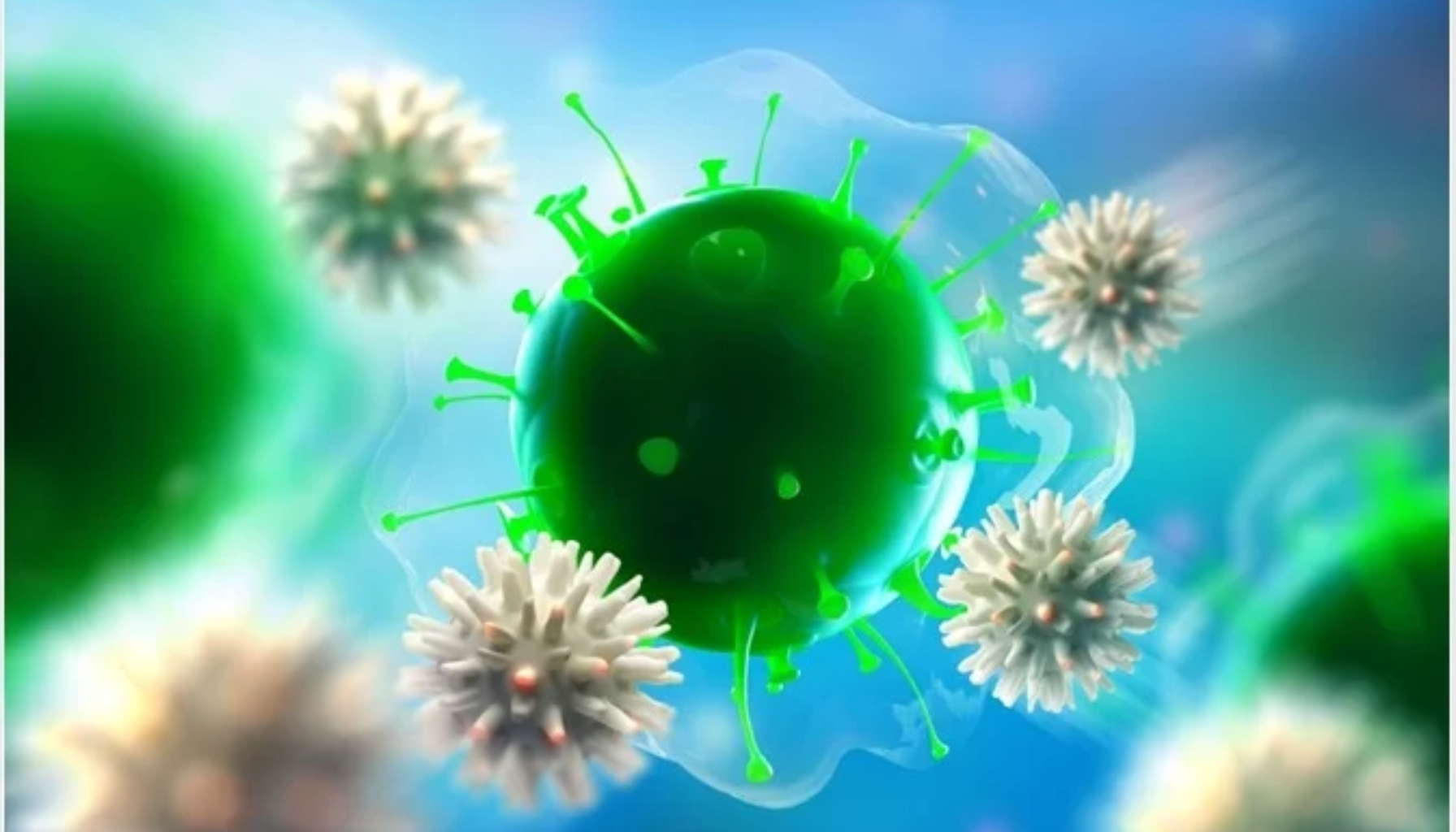 Illustrasjon av immunceller som omringer og angriper et grønt virus i kroppen. hvite blodceller hvite blodcellene nøytrofile granulocytter lave verdier hvite blodlegemer høye verdier hvite blodceller leukocytter granulocytter blodet blodcellene nøytrofile celler lymfocytter lave antall eksempel mer økt høye infeksjoner utgjør typer ulike immunforsvaret beinmargen viktig bruker blod del lavt infeksjon kontroll hos norske 10,0 3,5