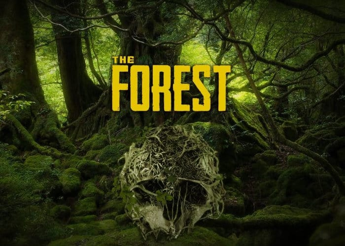Find on Steam VR and Meta Quest The Forrest