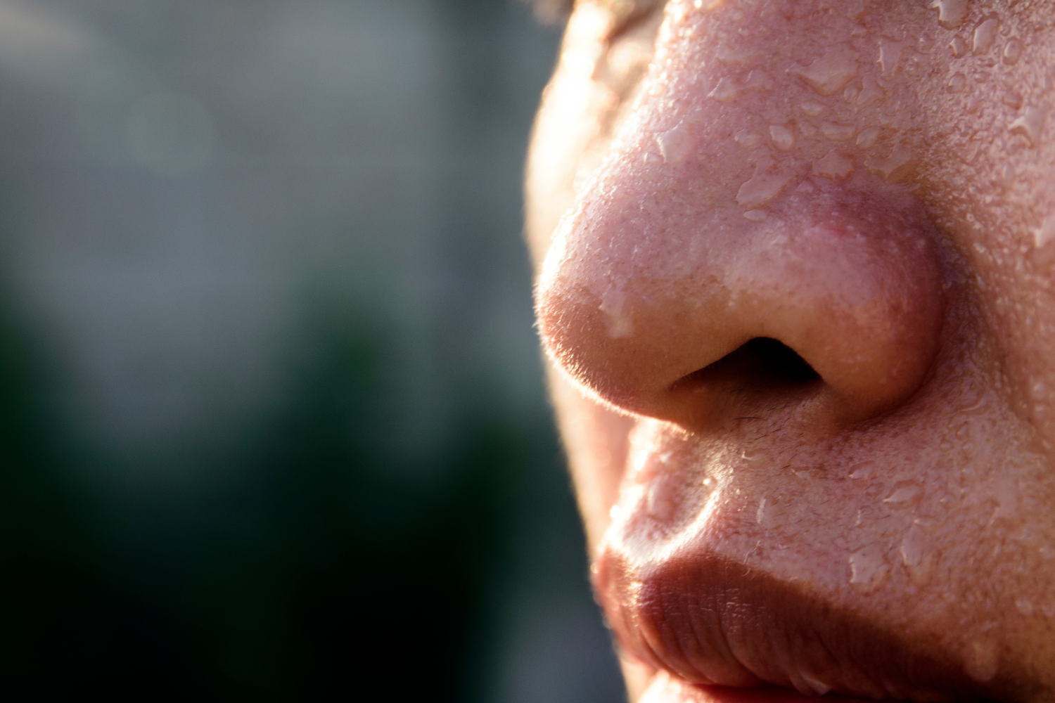Close-up of sweating on person's face.