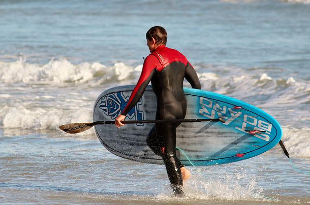 surfer, stand up paddling, sea