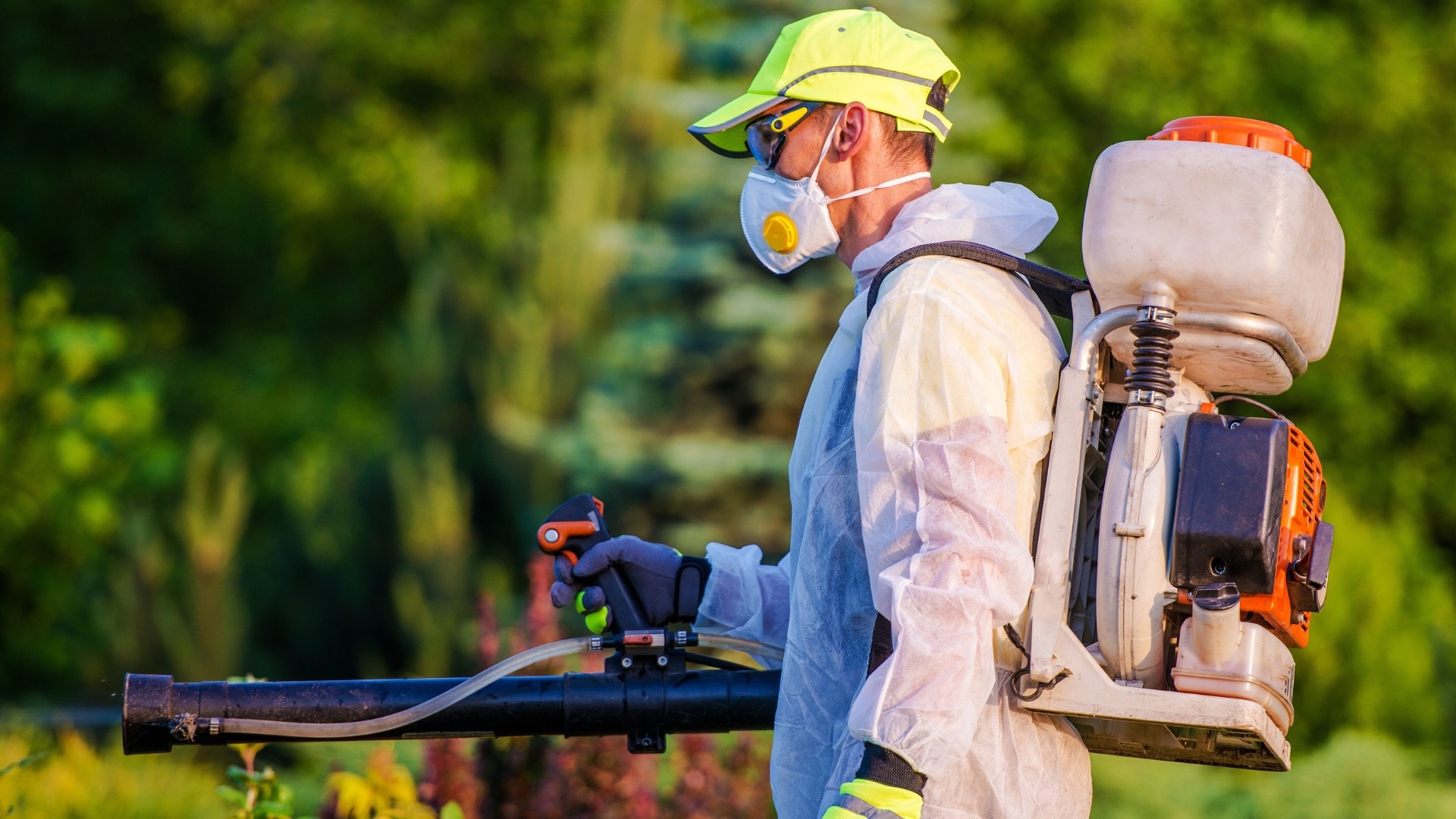 A professional pest control technician spraying for mosquitoes in a lawn.