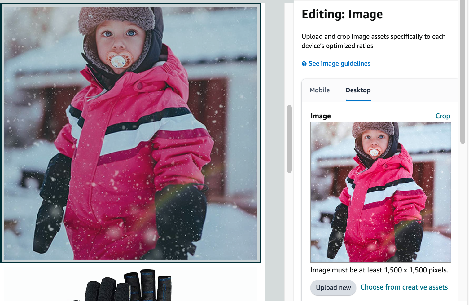 Use high-quality images to populate your Amazon store