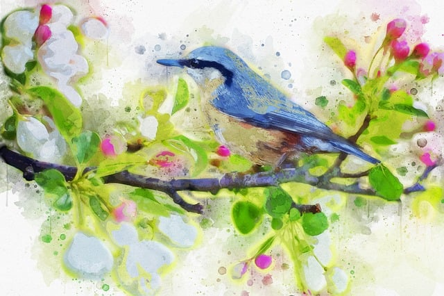spring bird, bird, spring high-quality art prints