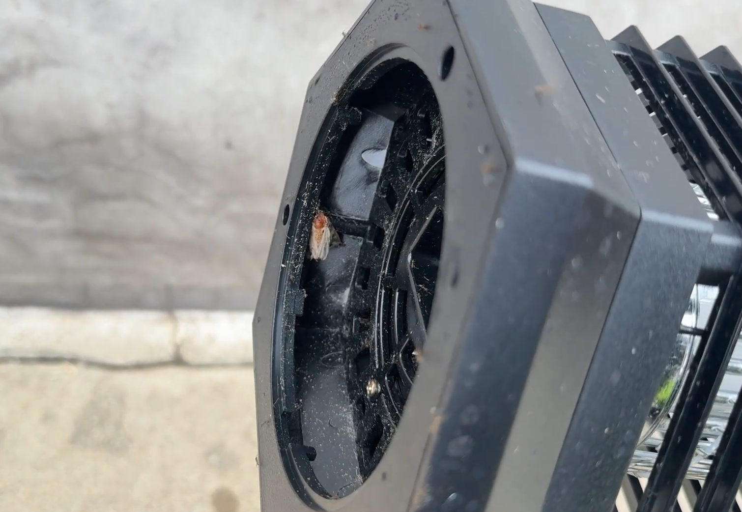 flying pests inside the GooTop Zap T6 Pro