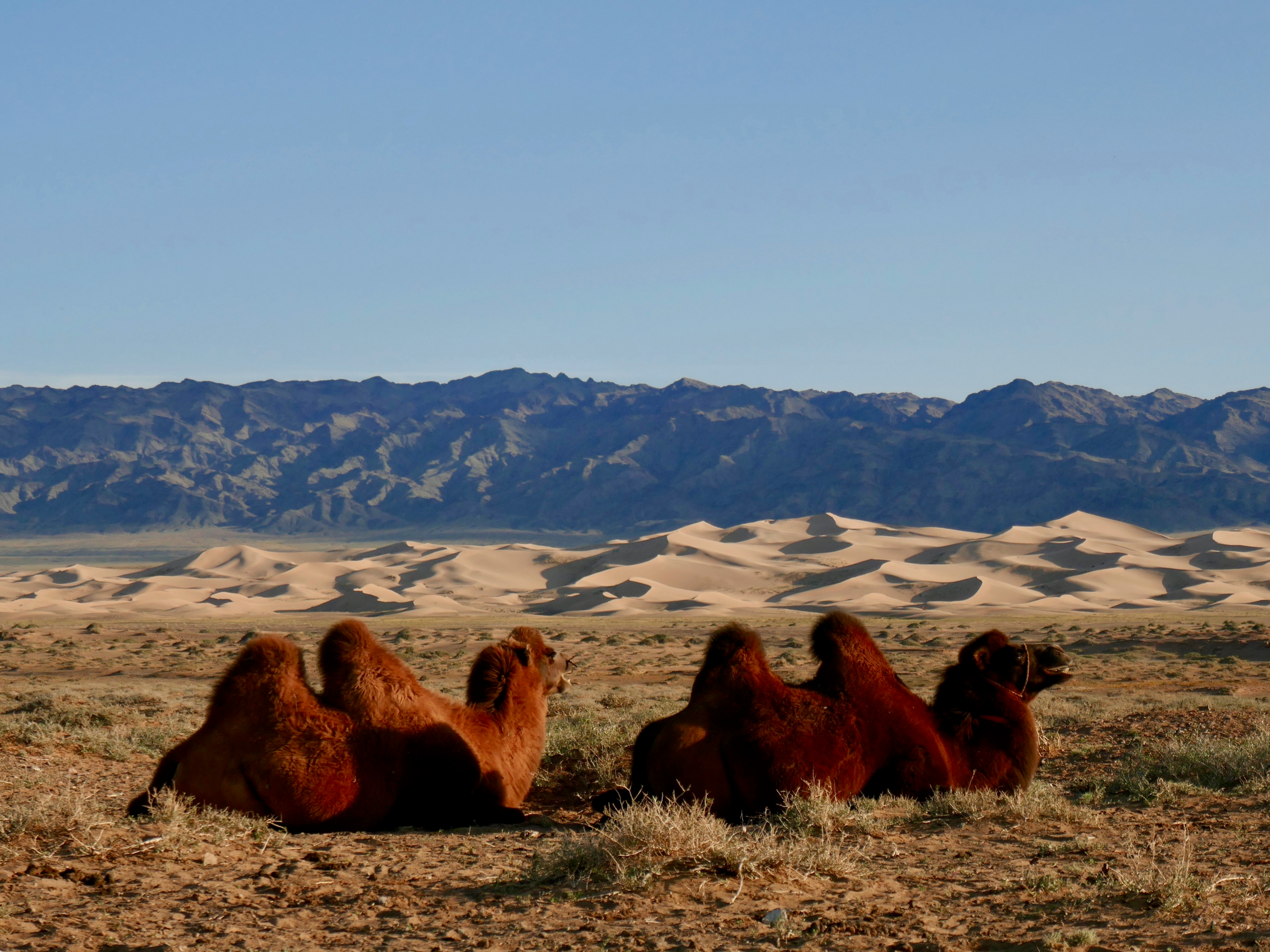 A breathtaking view of the Gobi Desert in Mongolia