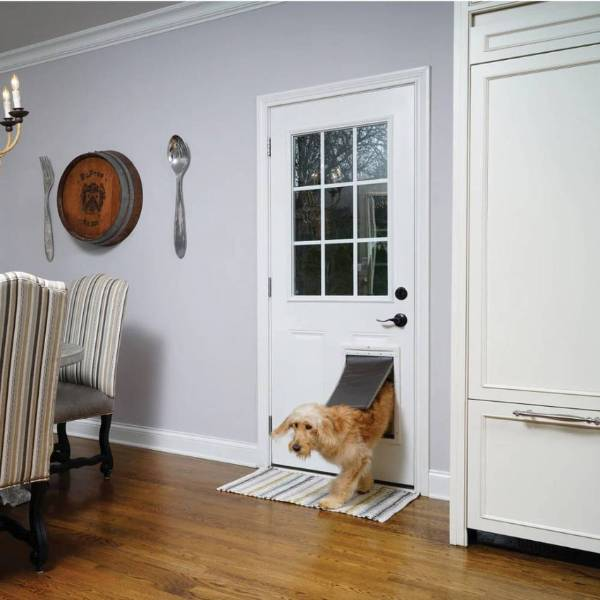 A golden retriever exits through the PetSafe Extreme Weather Pet Door installed in a white residential door, showing how to install dog doors in a door