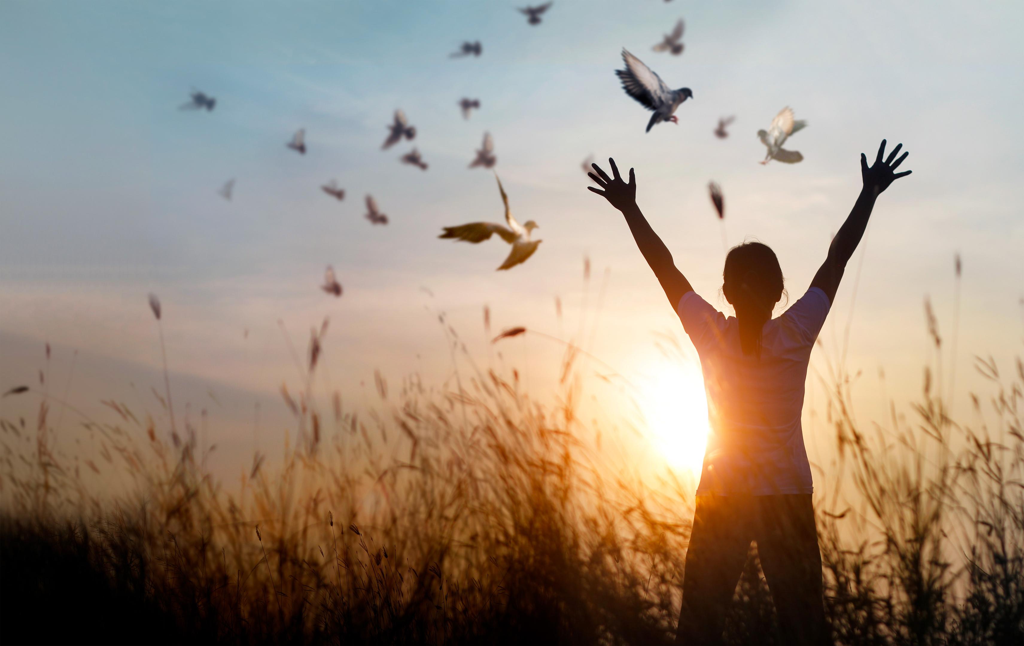 How long does it take to detox from alcohol- a question that supports optimal wellness