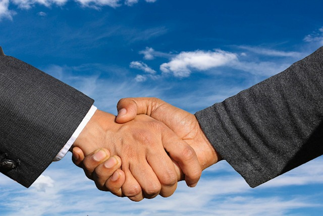 handshake, business, partner