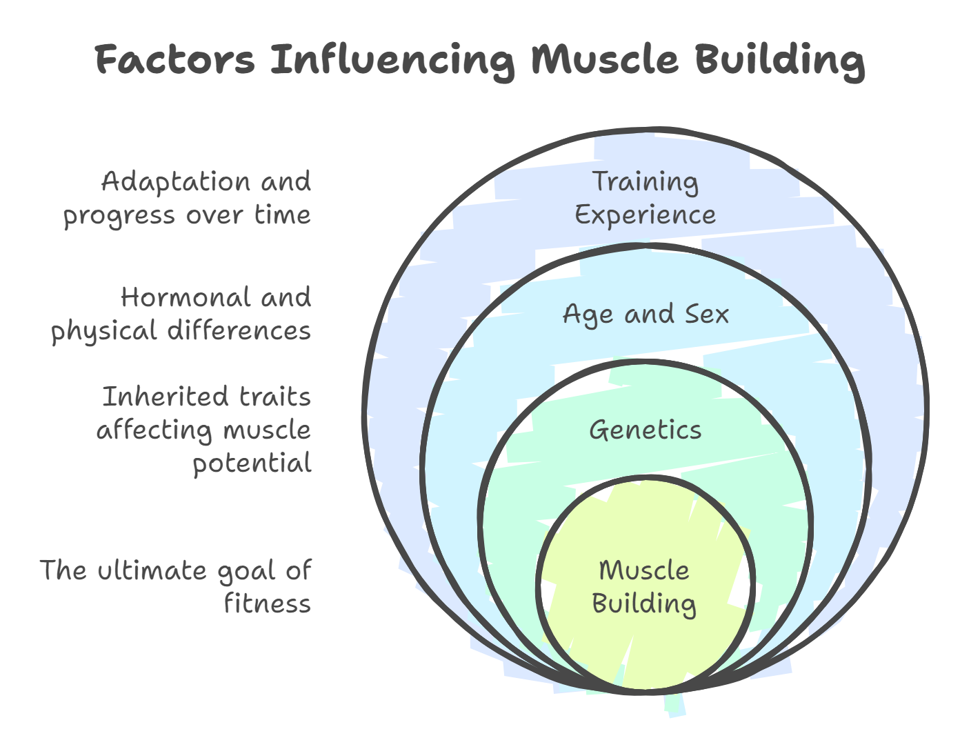 How Long Does It Take to Build Muscle? A Practical Guide Factors Influencing Muscle Building Timeline