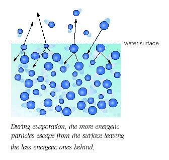 Water molecules evaporating from a surface