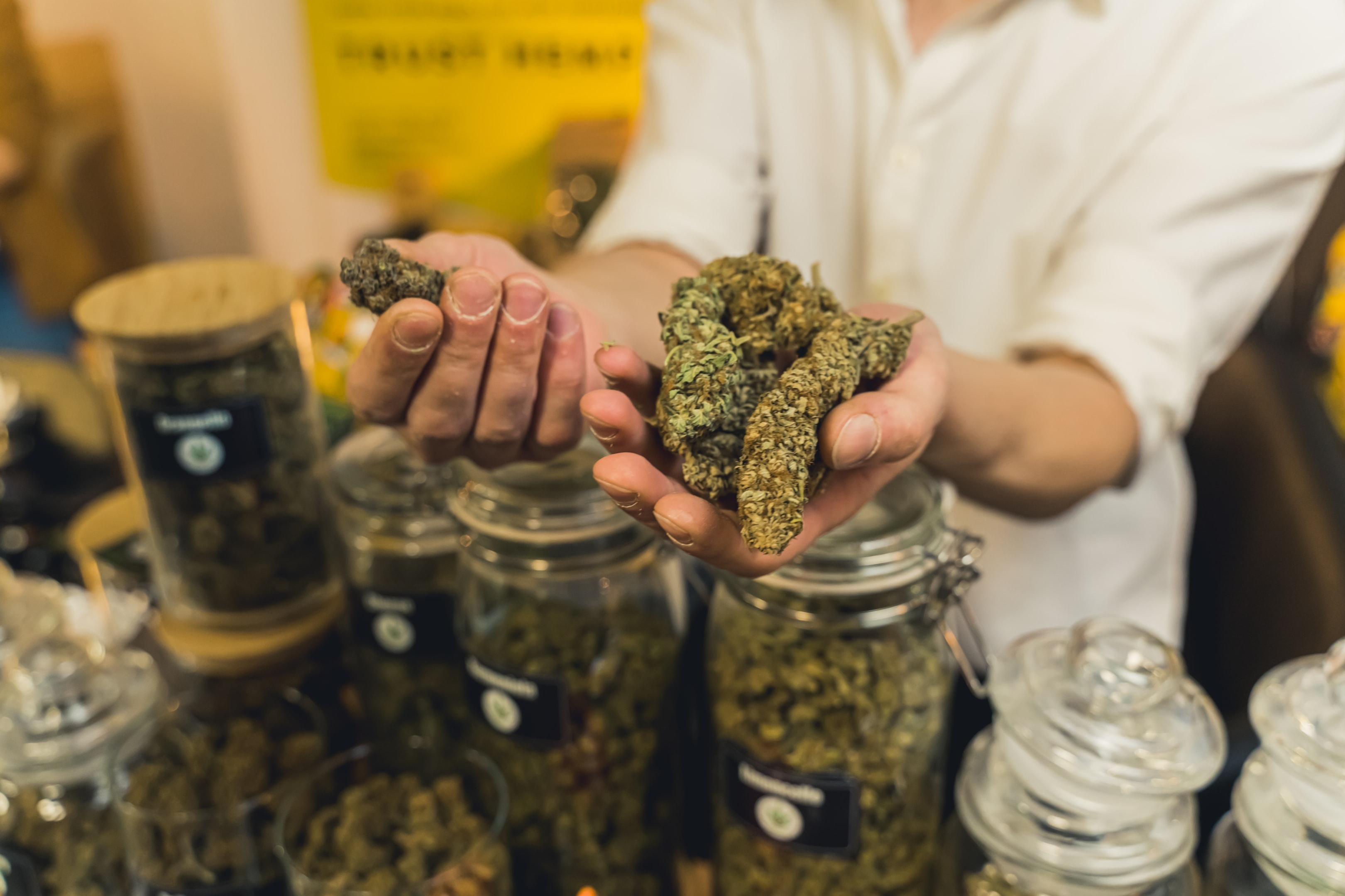 Medical dispensaries offer professional guidance and product selection assistance that can be particularly valuable for patients new to cannabis therapy.