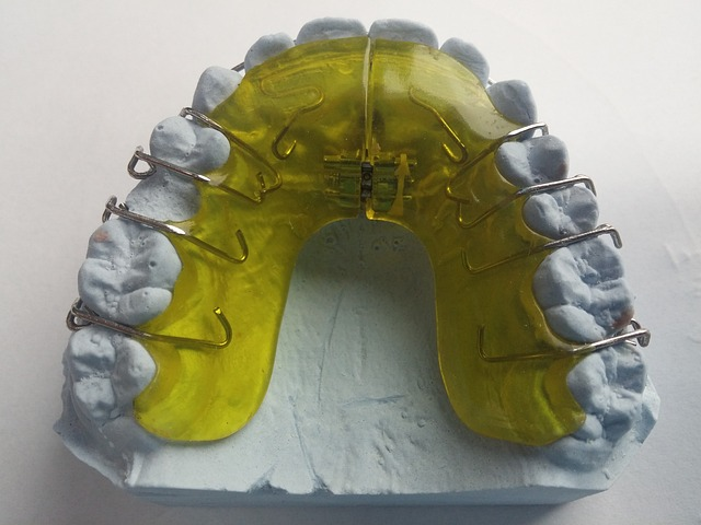 braces, dentist, orthodontics
