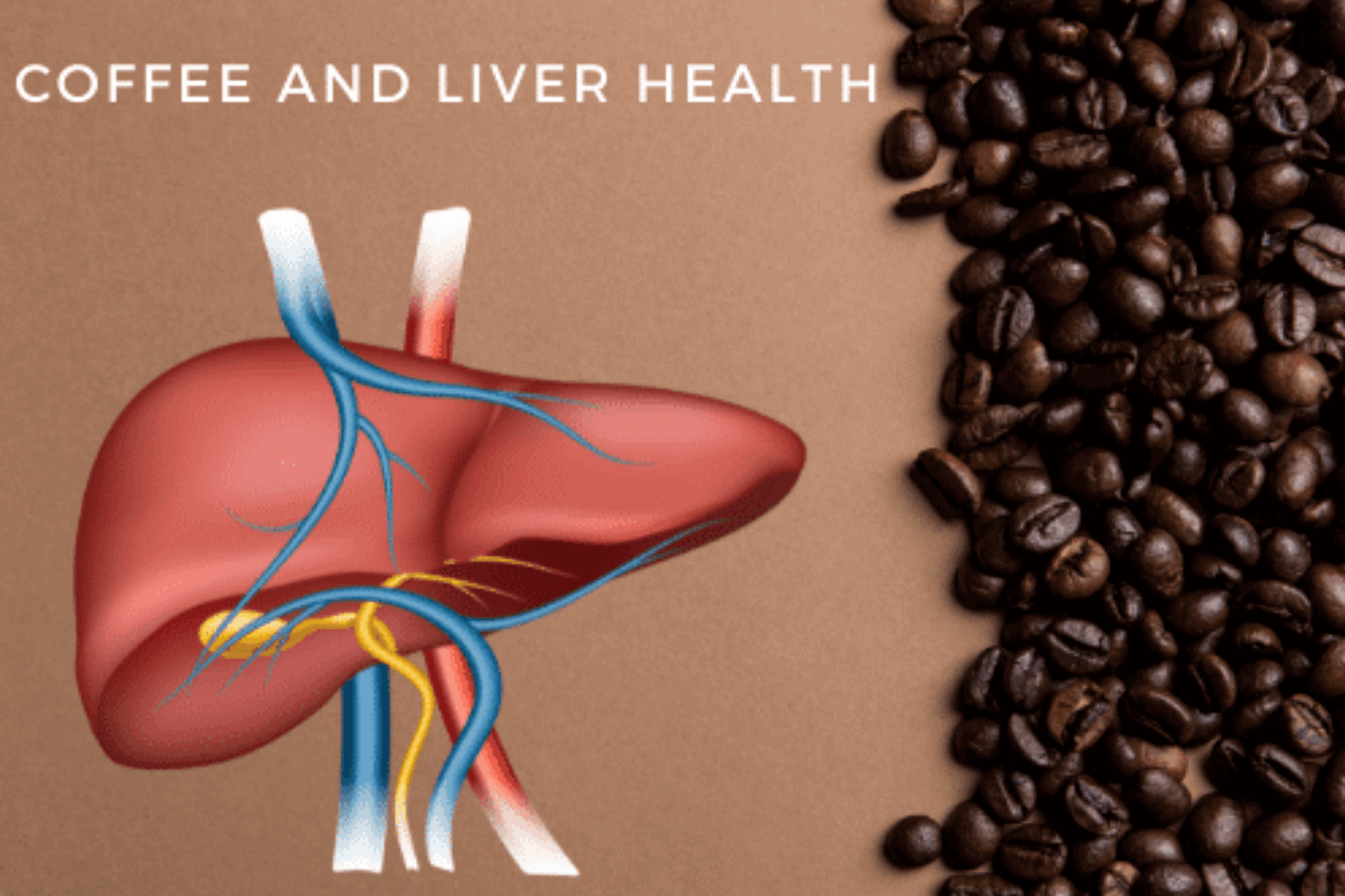 Coffee Addiction. Влияние кофе на печень человека. Liver Health. Кофе и печень польза или вред.