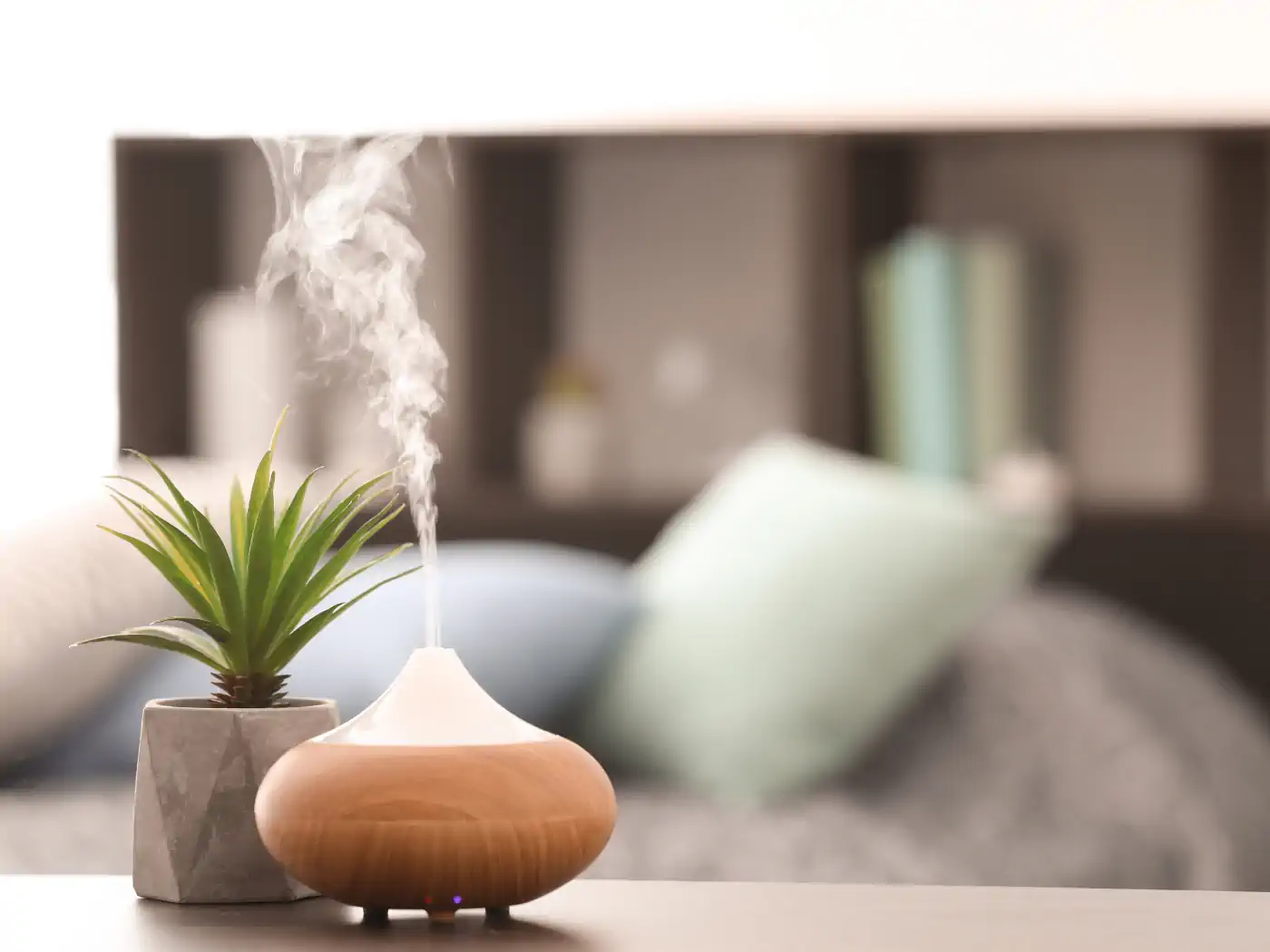 Essential oil diffuser emitting steam next to a small plant. Collection: Essential Oils, Fabulous Flowers & Gifts.