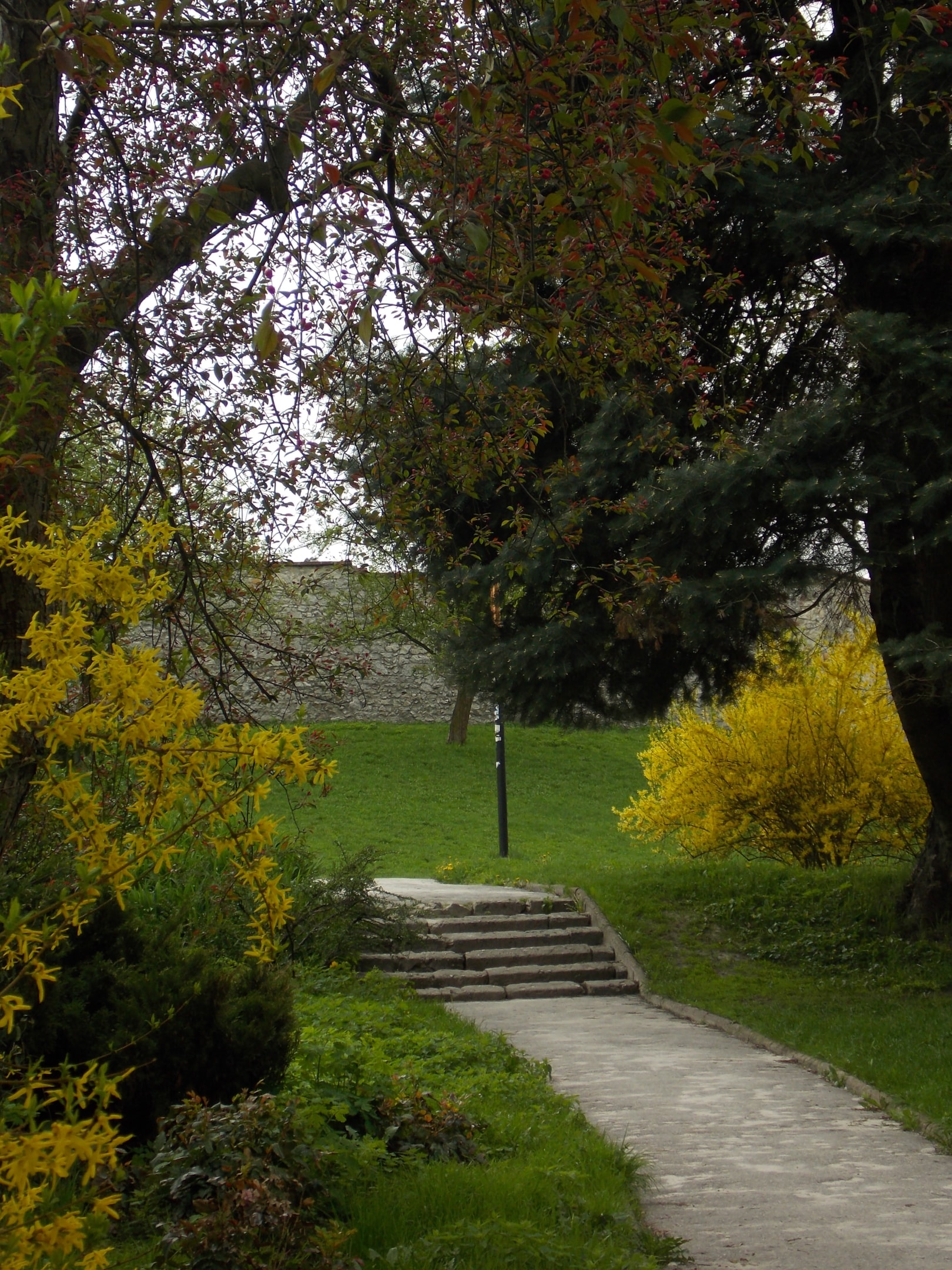 Park miejski im. Stanisława Staszica w Kielcach (źródło: https://commons.wikimedia.org/wiki/File:Park_miejski_im._Stanis%C5%82awa_Staszica_w_Kielach,_wiosna_2012_(jw14).JPG)