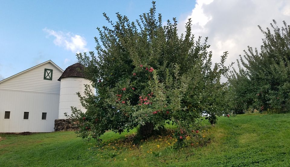 Riamede Farm