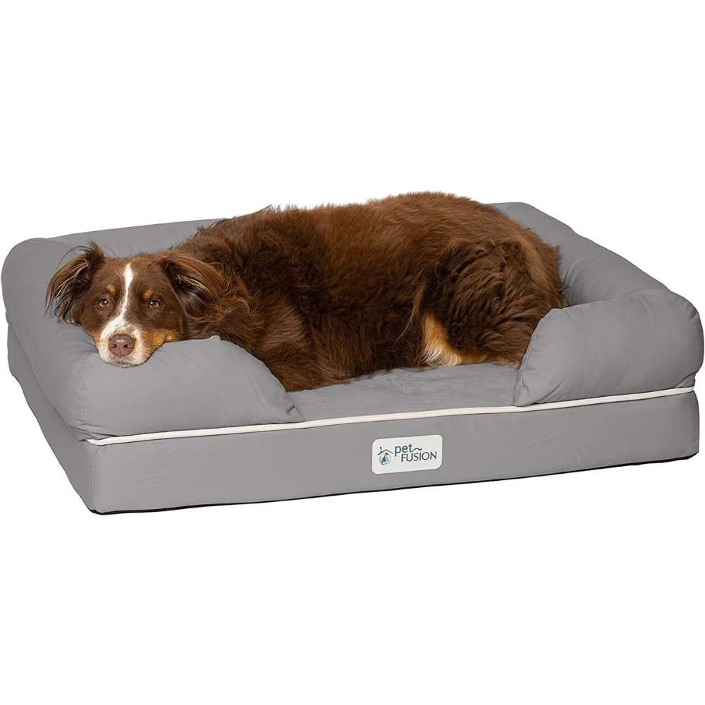 Best Dog Bed For Goldendoodle - Pet Guide!