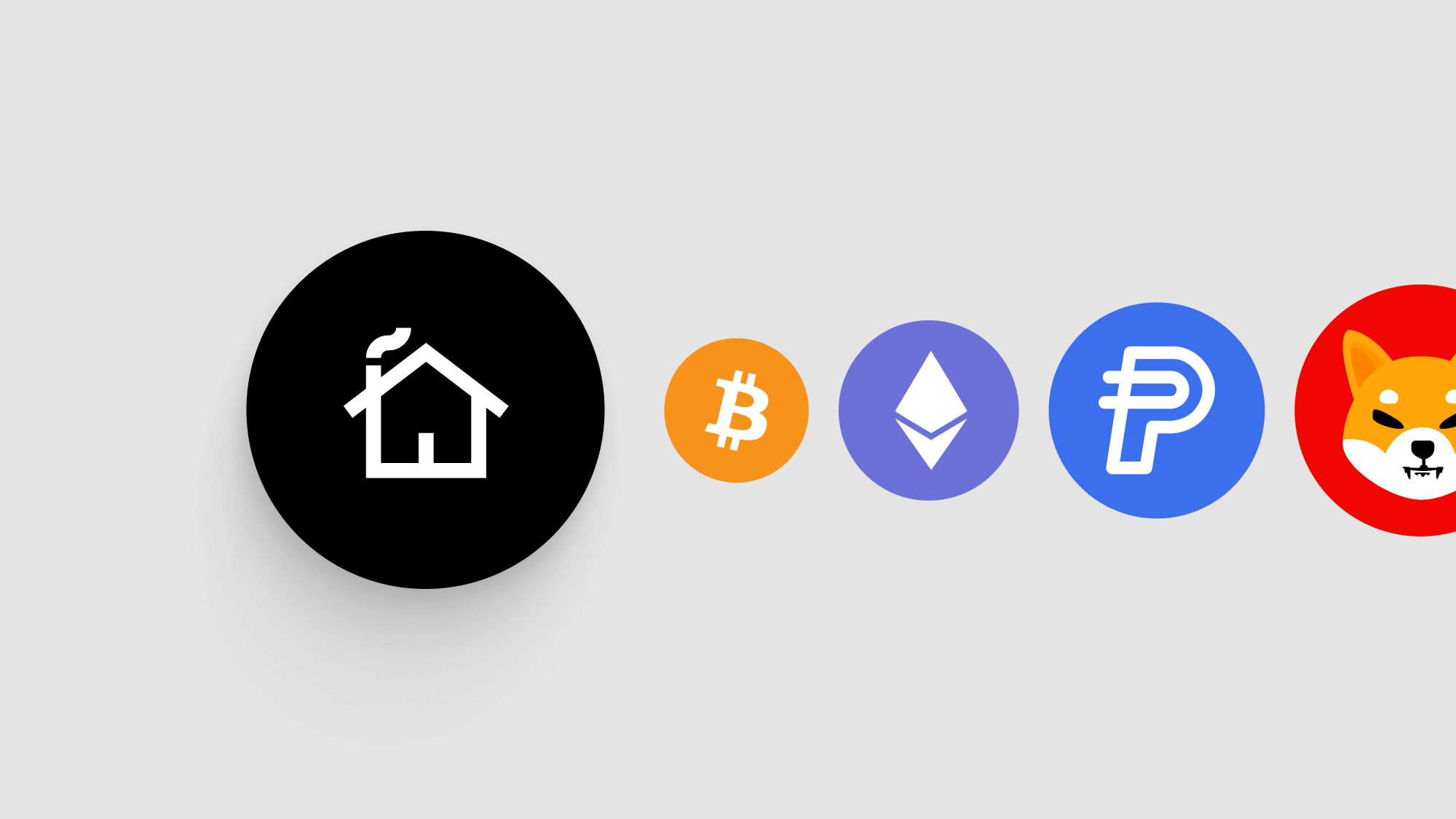 An illustration of various alternative cryptocurrencies used for real estate investment.