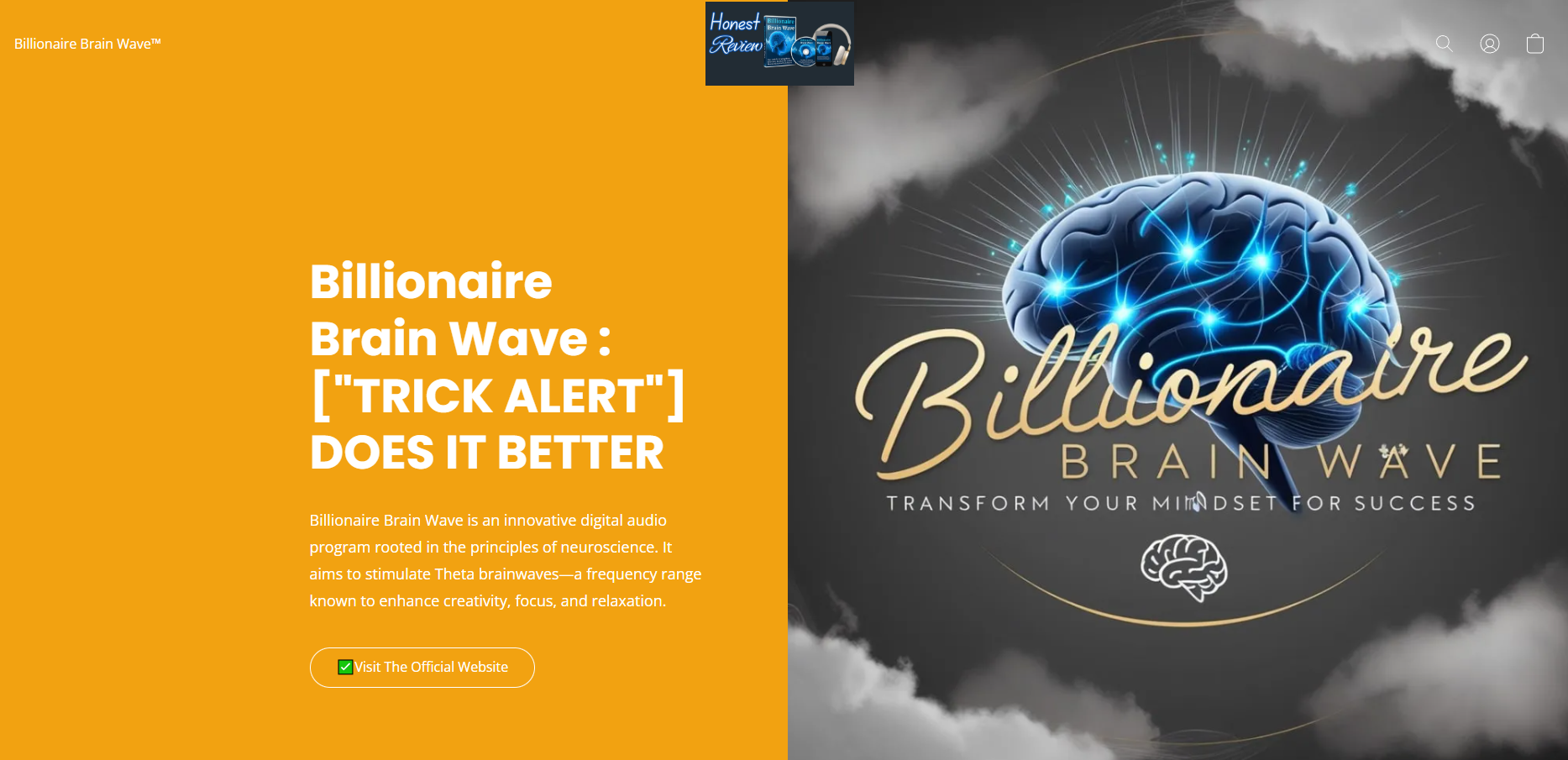 Billionaire Brain Wave Review
