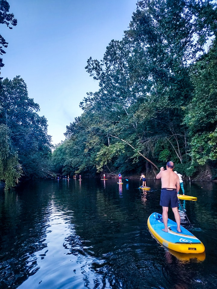 marine life on a stand up paddle board