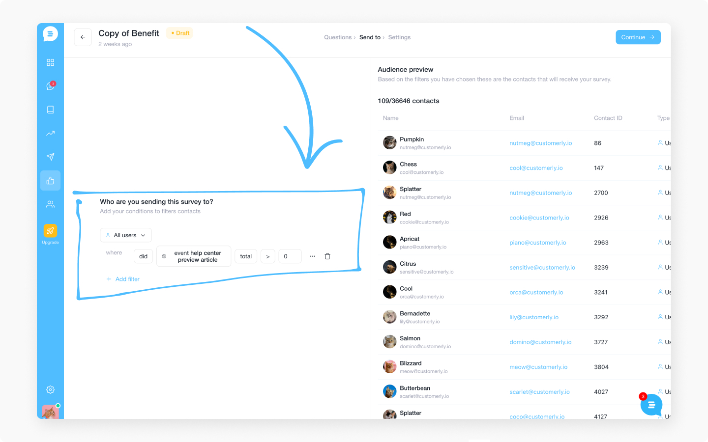 Survey audience segmentation