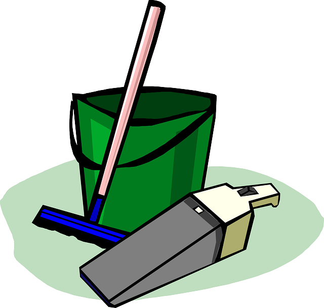 bucket, cleaning, supplies