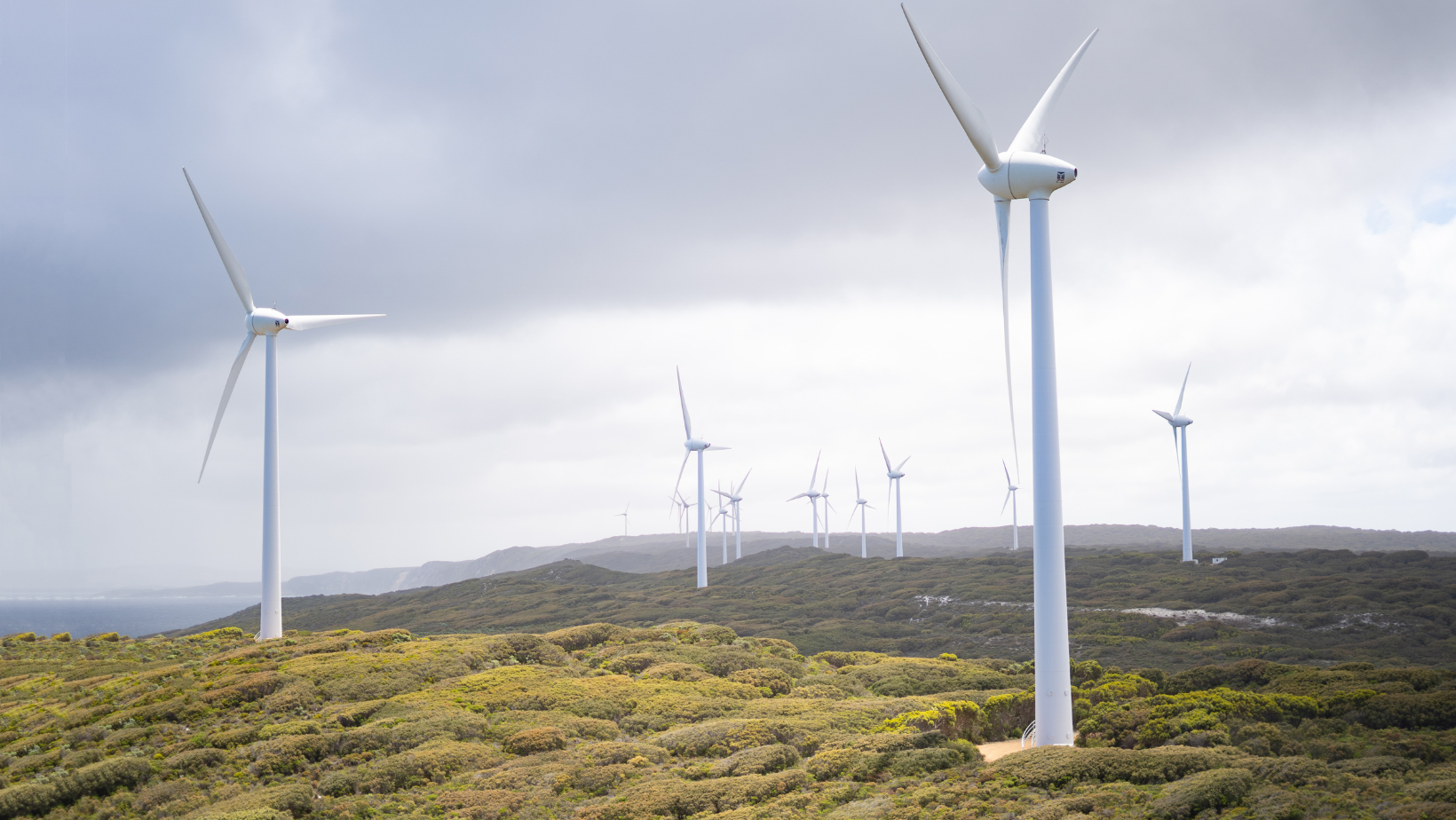 Impacts of wind turbine installation on businesses and communities