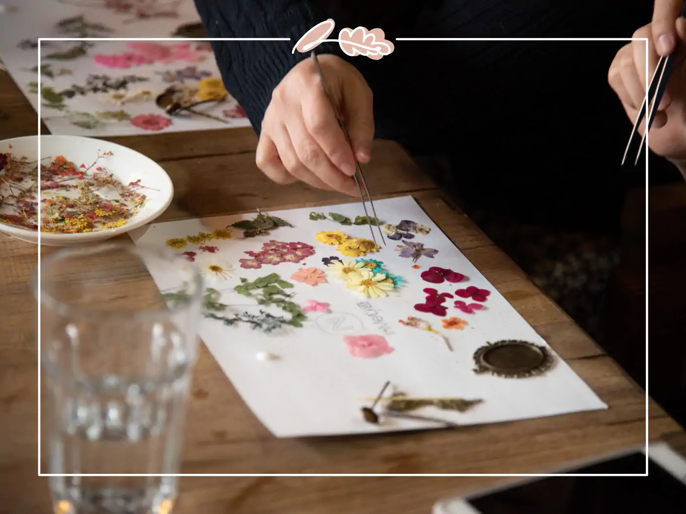 A person arranging pressed flowers of various colors on a white sheet using tweezers, with plates of additional flowers nearby. Fabulous Flowers and Gifts.