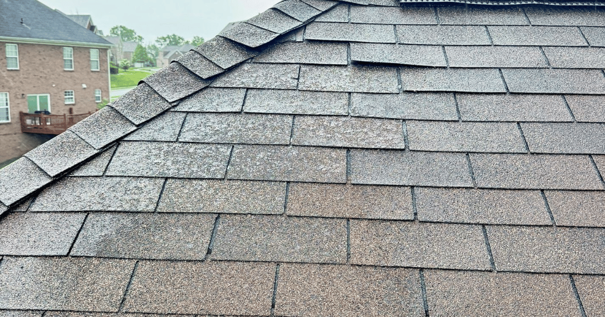 Full roof slope view showing curling and heat-damaged shingles on a Middle Tennessee home after record summer heat.