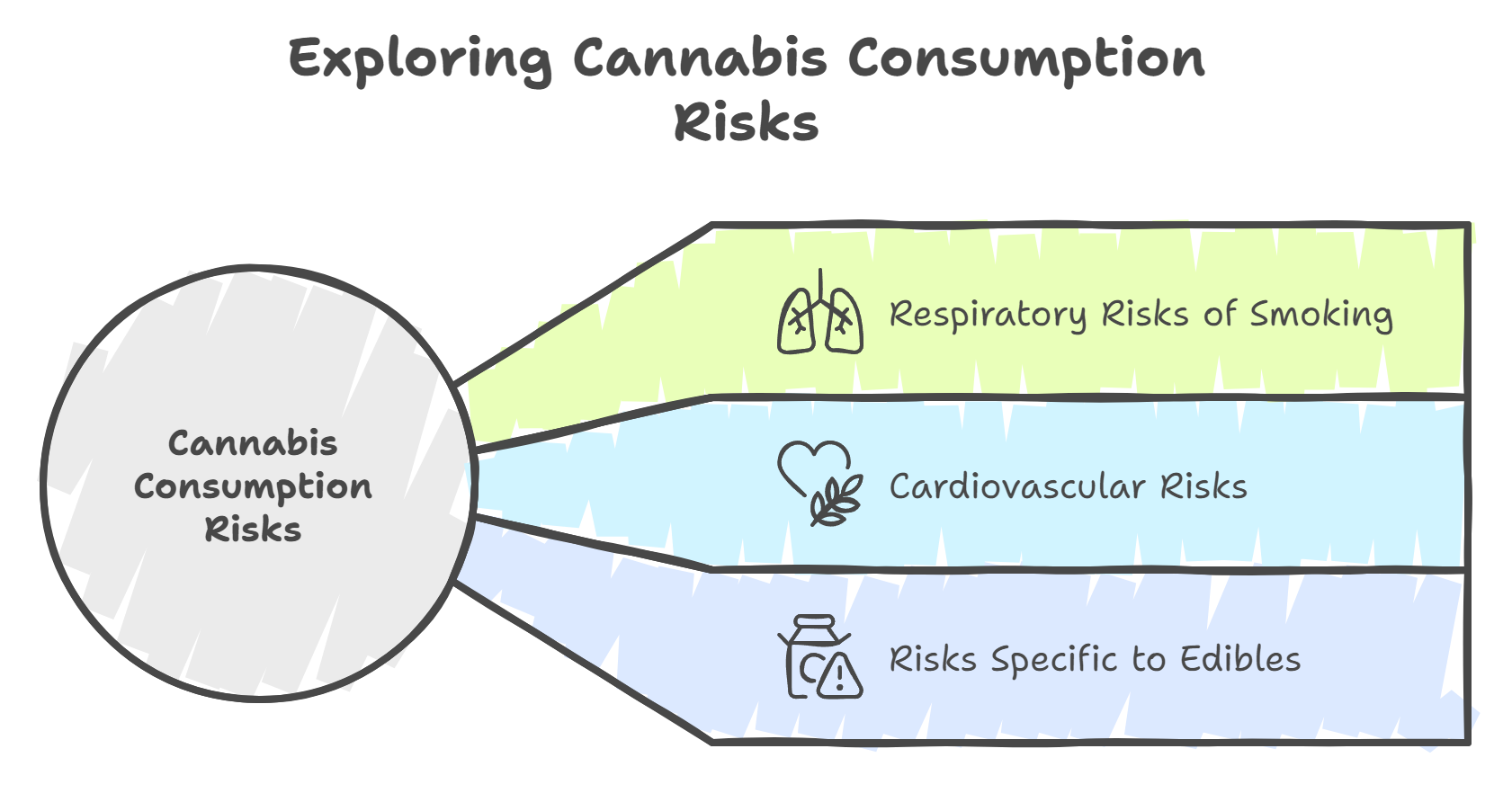 Health Risks and Safety Considerations