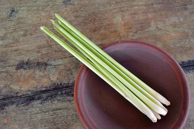 lemongrass, herb, nature