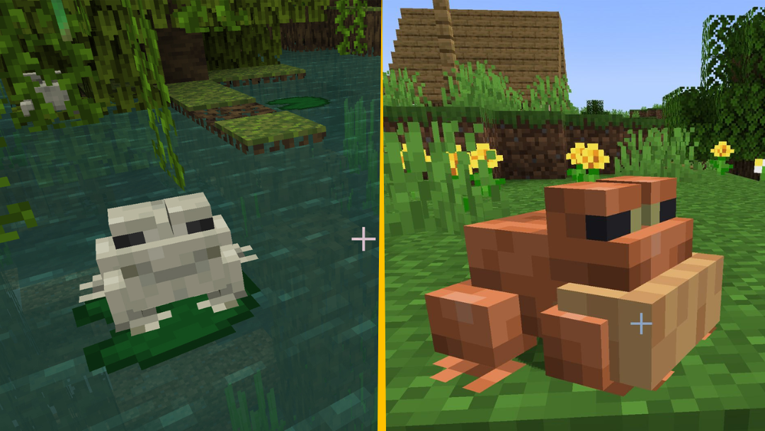 Where to find Frogs Minecraft
