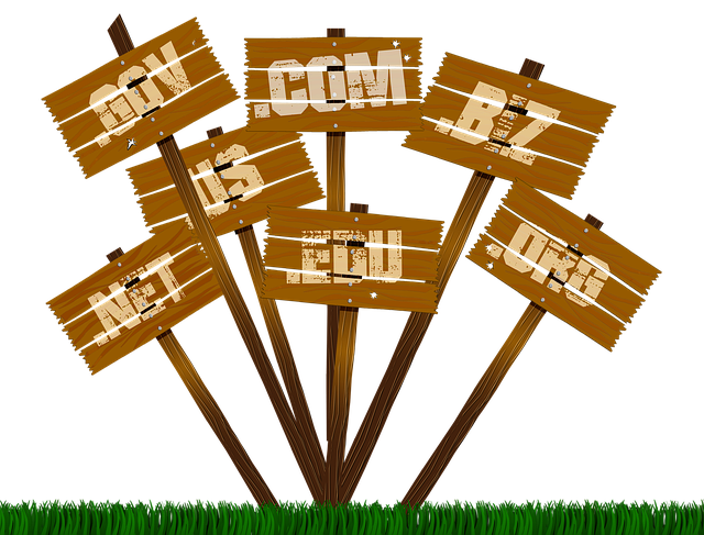 domain names, domain extension, domain