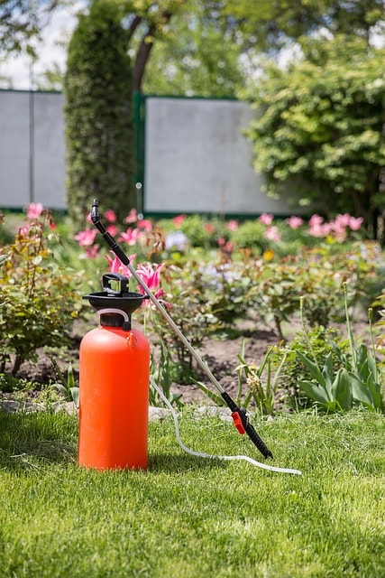 aerosol spray cannister on grass