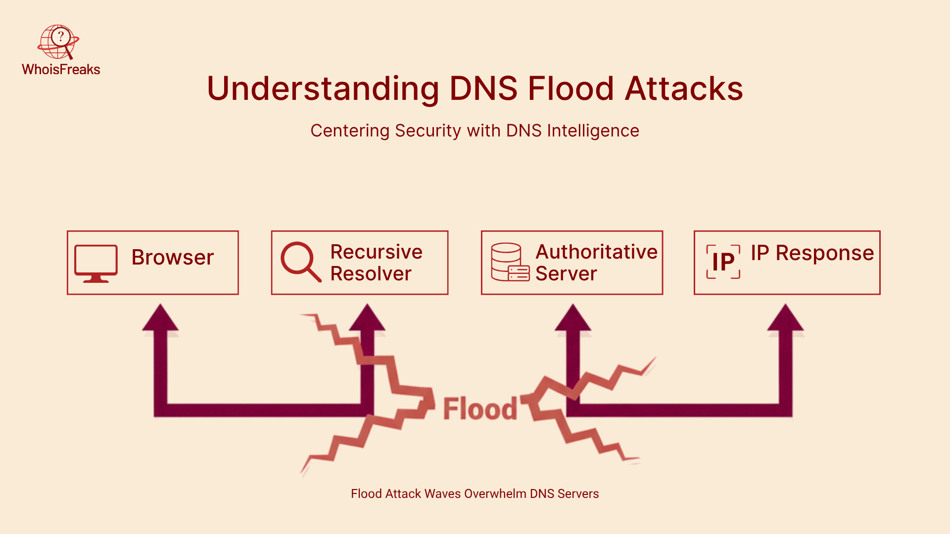 Understanding DNS Flood Attacks