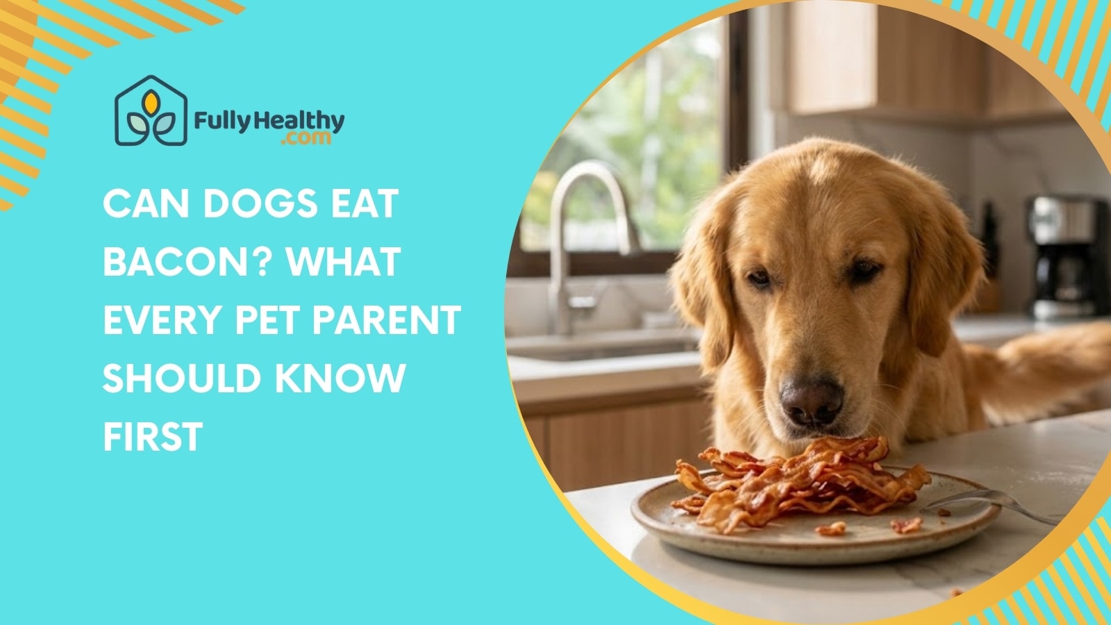 Can Dogs Eat Bacon? What Every Pet Parent Should Know First