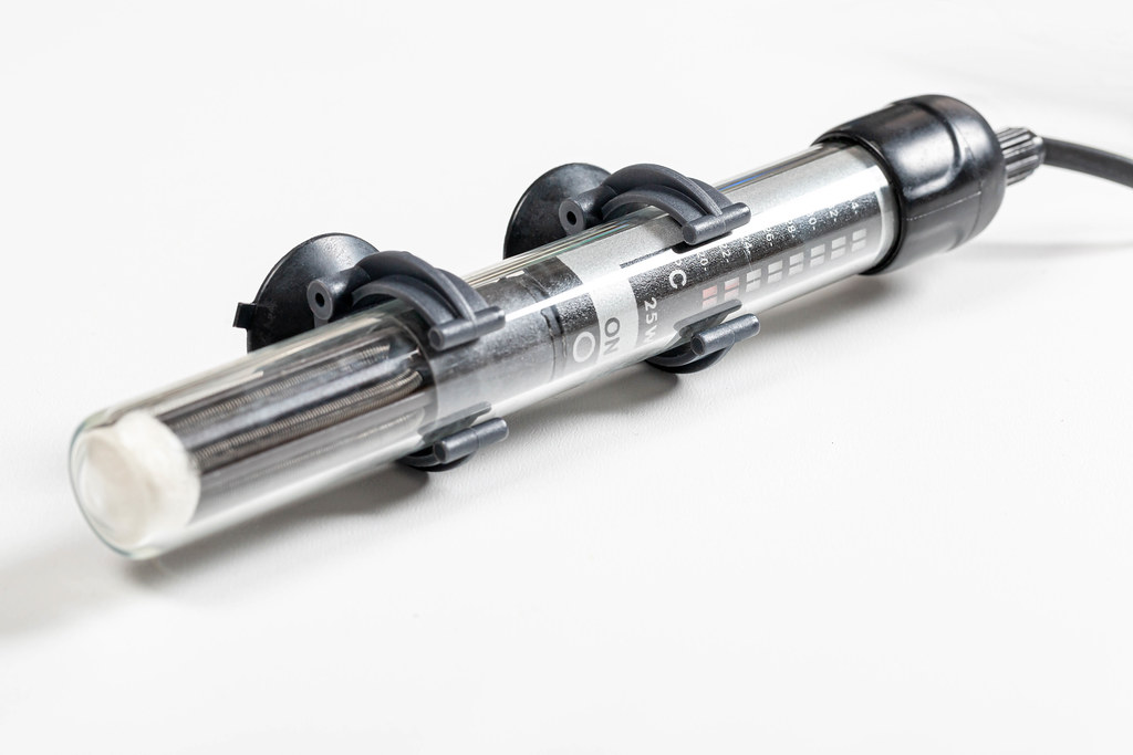 Use thermometer to check your tank's temperature