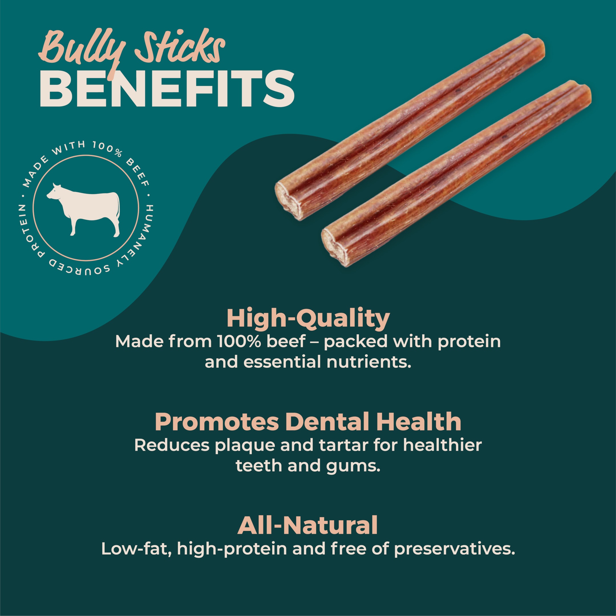 6 Inch Bully Sticks | Odor Free Select Beef Bully Sticks Benefits