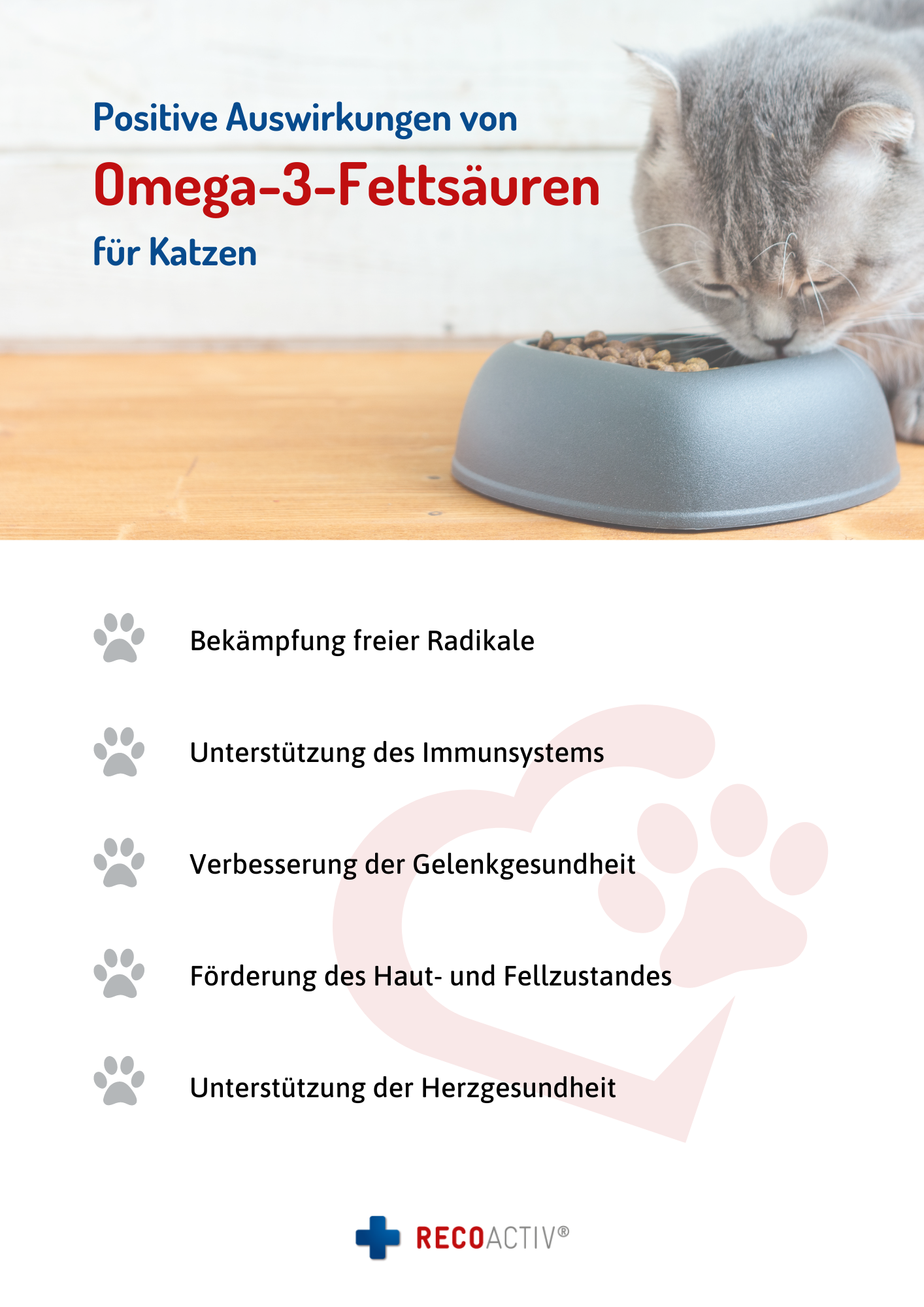 Infographic on Omega-3 fatty acids for cats